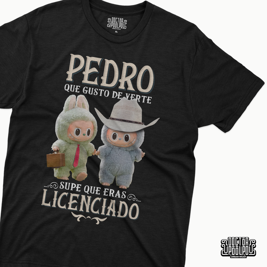 Pedro y Pablo